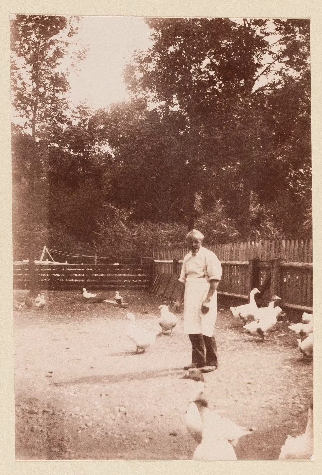 Mann mit Gänsen