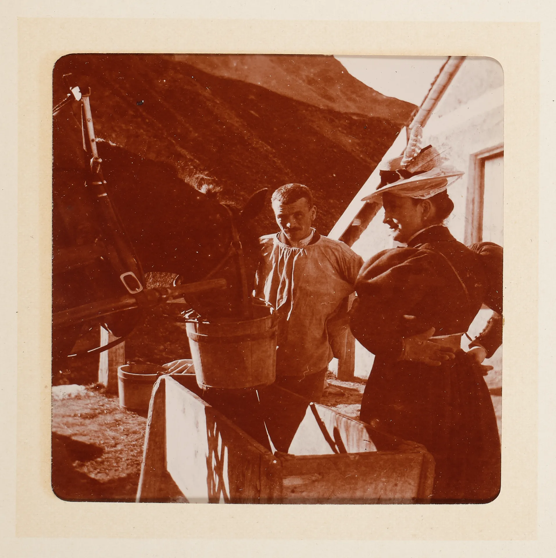 Elisabeth H. Winterhalter mit einem Pferd