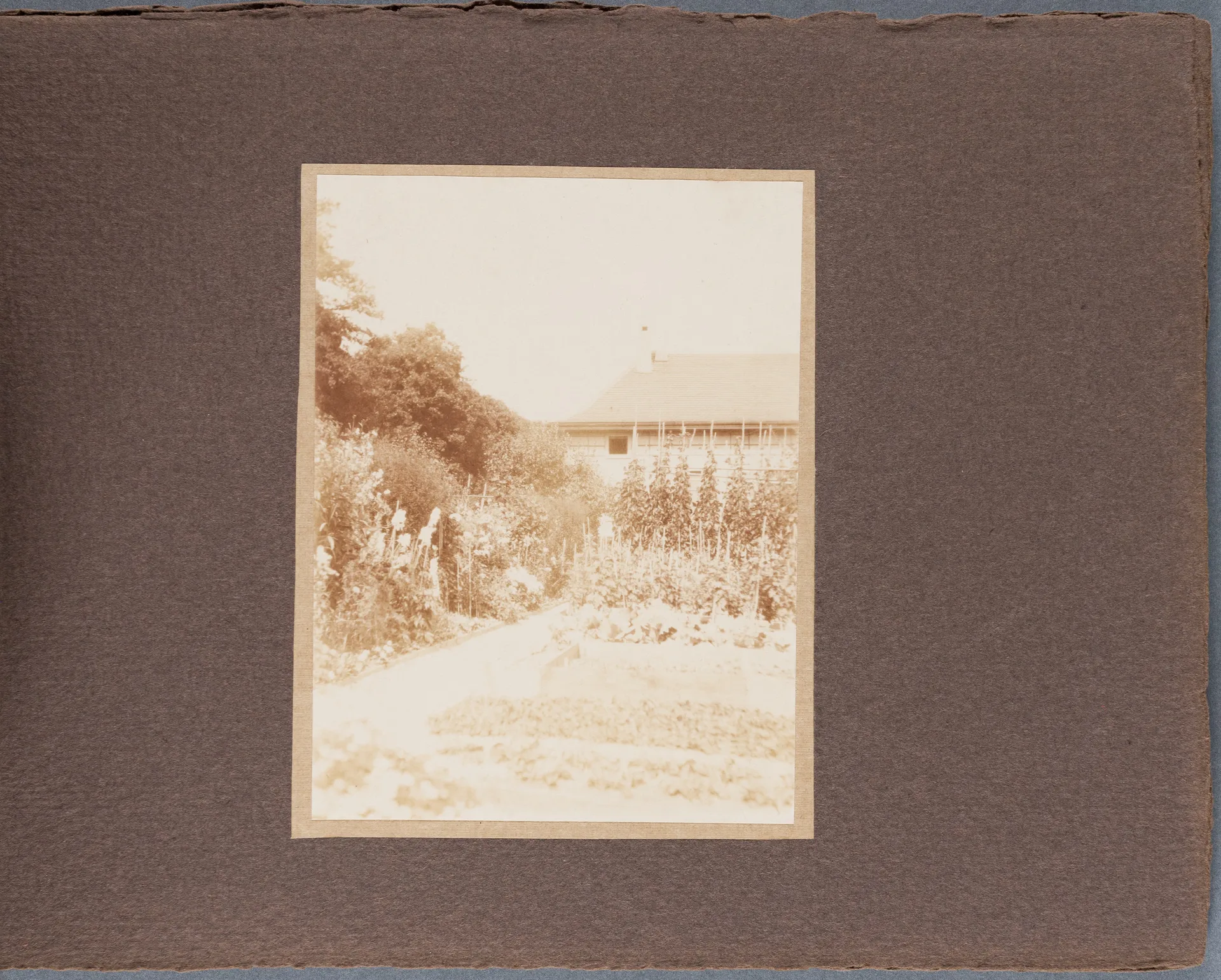 Fotoalbum: Hofheim Sommer 1913, Seite 6