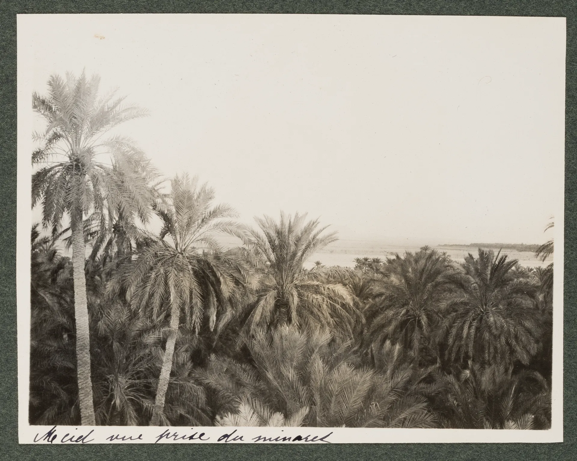 M'Cid, Biskra, von einem Minarett ausgesehen