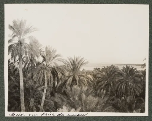 M'Cid, Biskra, von einem Minarett ausgesehen