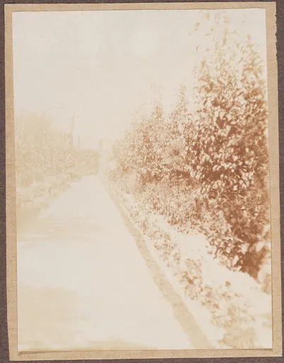Der Garten von Ottilie W. Roederstein und Elisabeth H. Winterhalter, Hofheim am Taunus