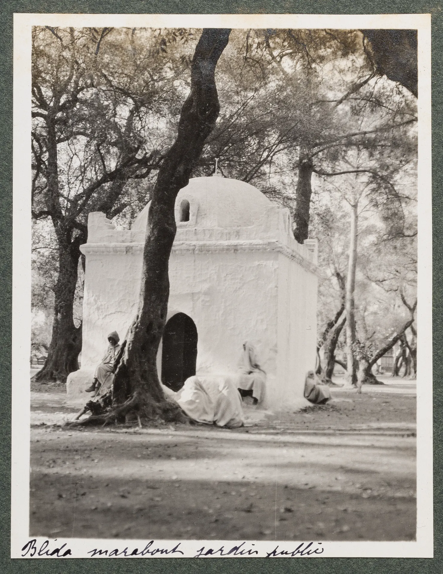 Der Marabout von Sidi Yacoub im heiligen Gehölz in Blida