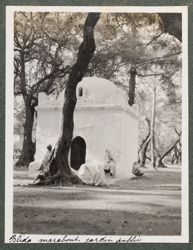Der Marabout von Sidi Yacoub im heiligen Gehölz in Blida
