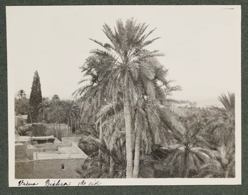 Ansicht von M'Cid, Biskra