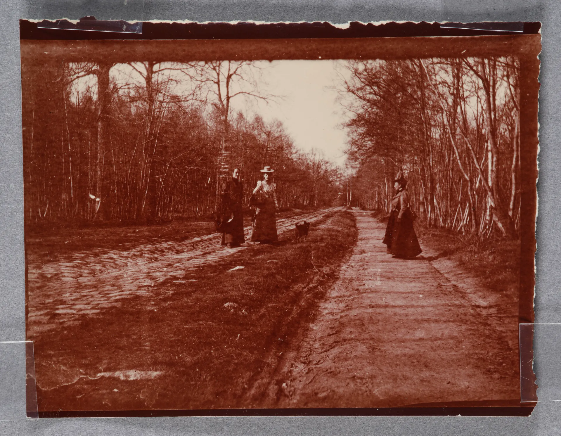 Mathilde Battenberg und zwei Frauen im Bois-de-Boulogne, Paris