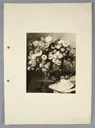 Ottilie W. Roederstein, Glas mit buntem Blumenstrauß, Gemälde, 1908
