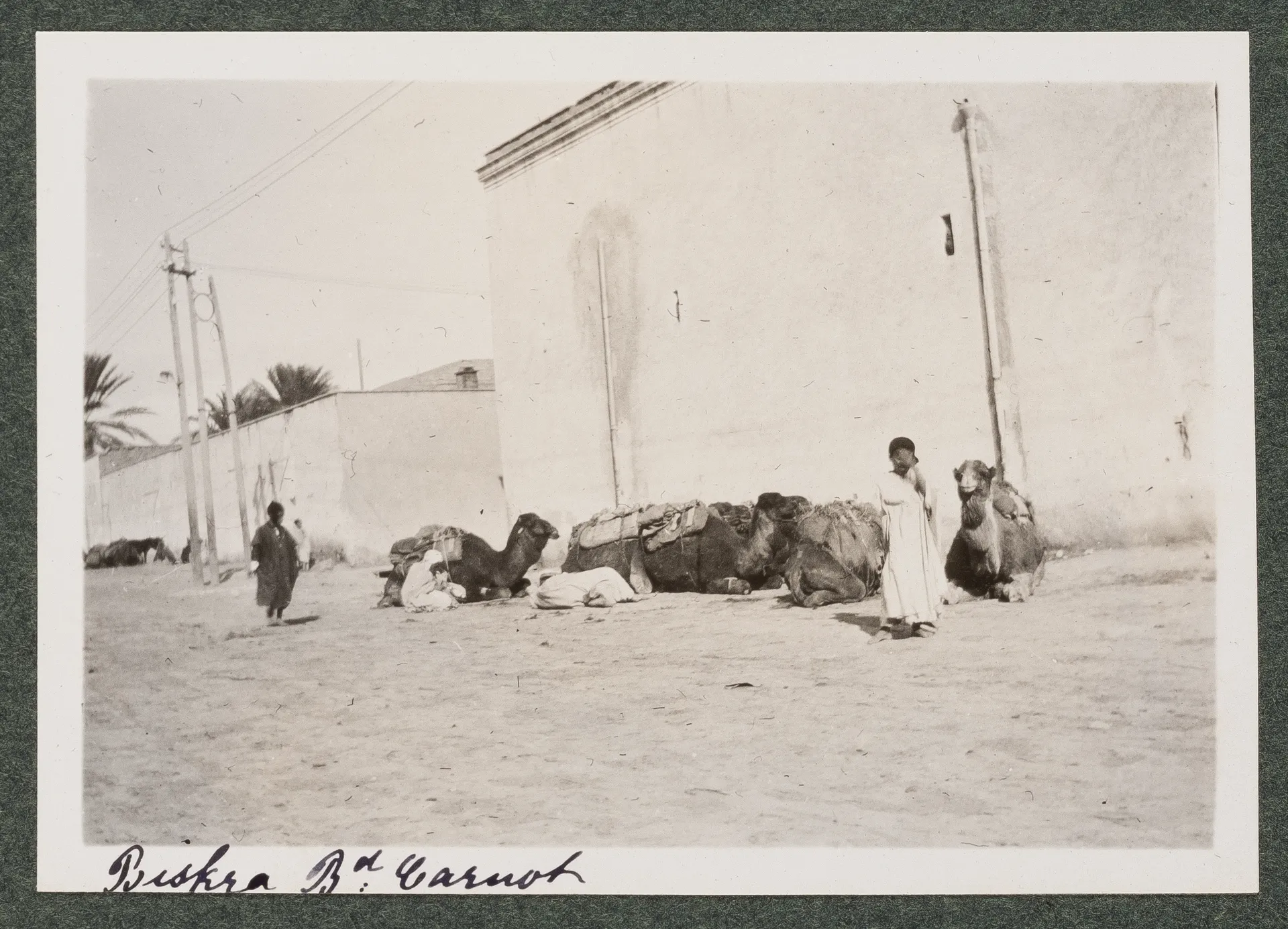 Boulevard Carnot, Biskra