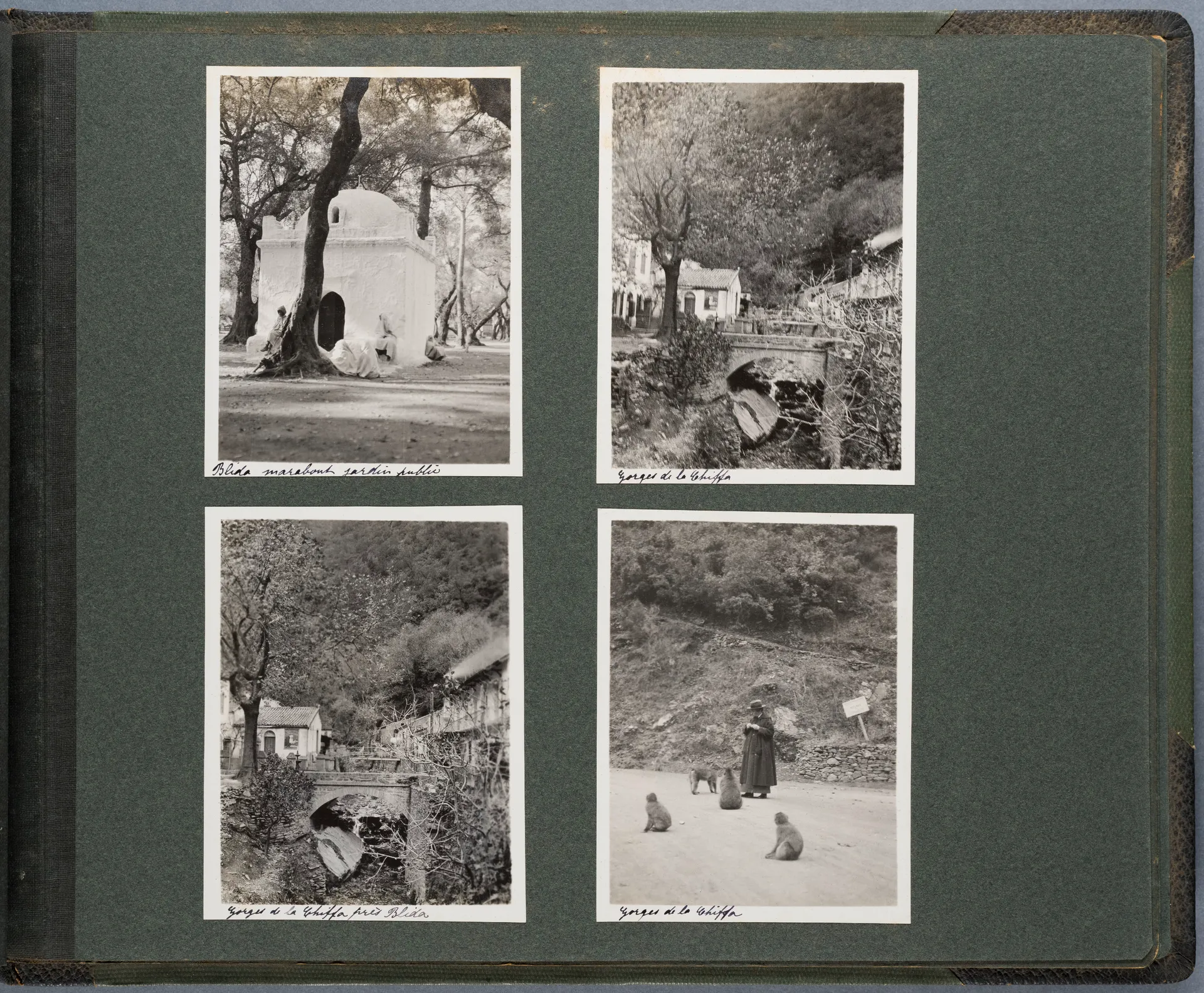 Fotoalbum: Tunisie - Algérie 22 Nov. - 22 Déc. 1913 (Bd. 2), Seite 45