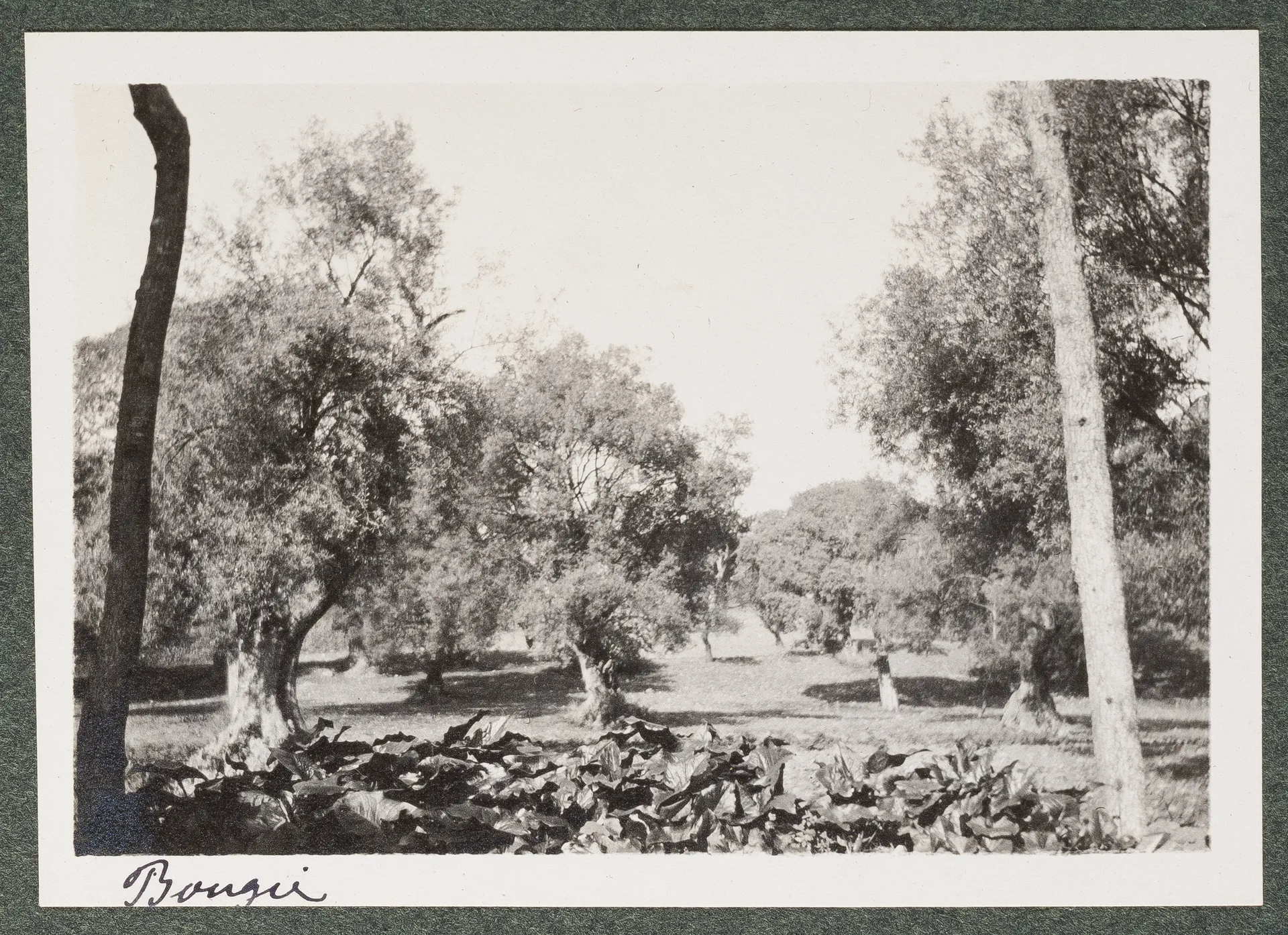 Landschaft in Bejaïa