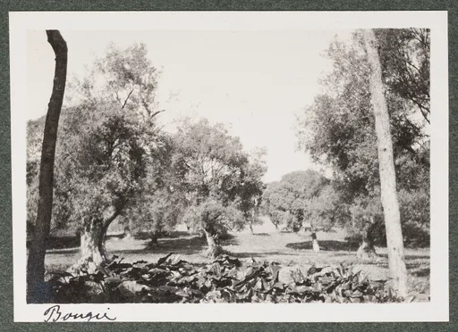 Landschaft in Bejaïa