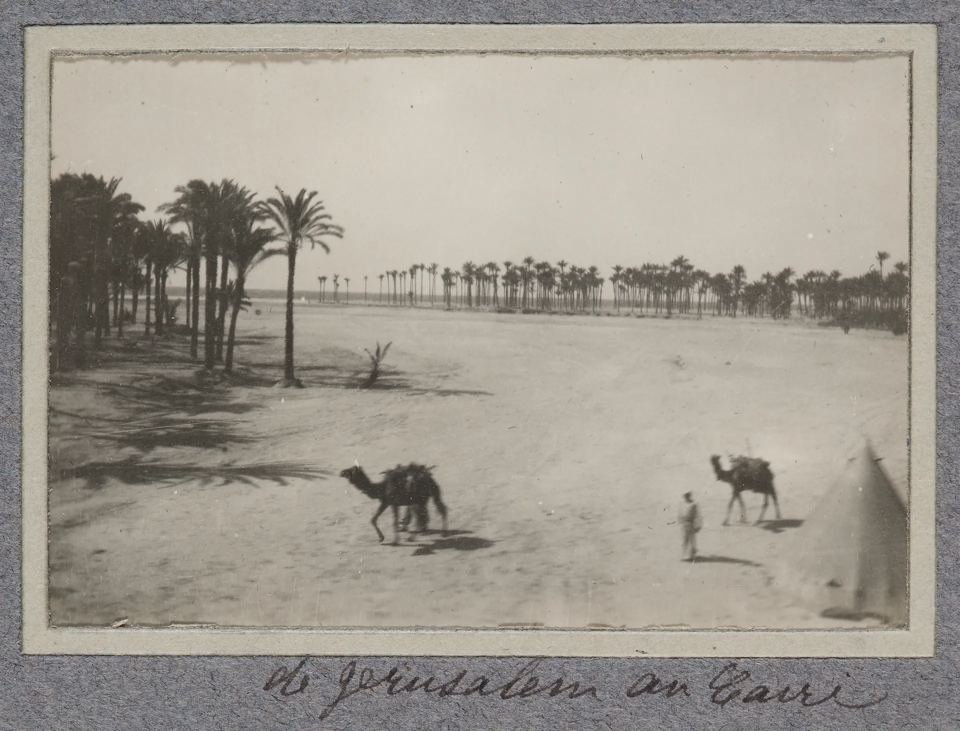 Zwischen Jerusalem und Kairo