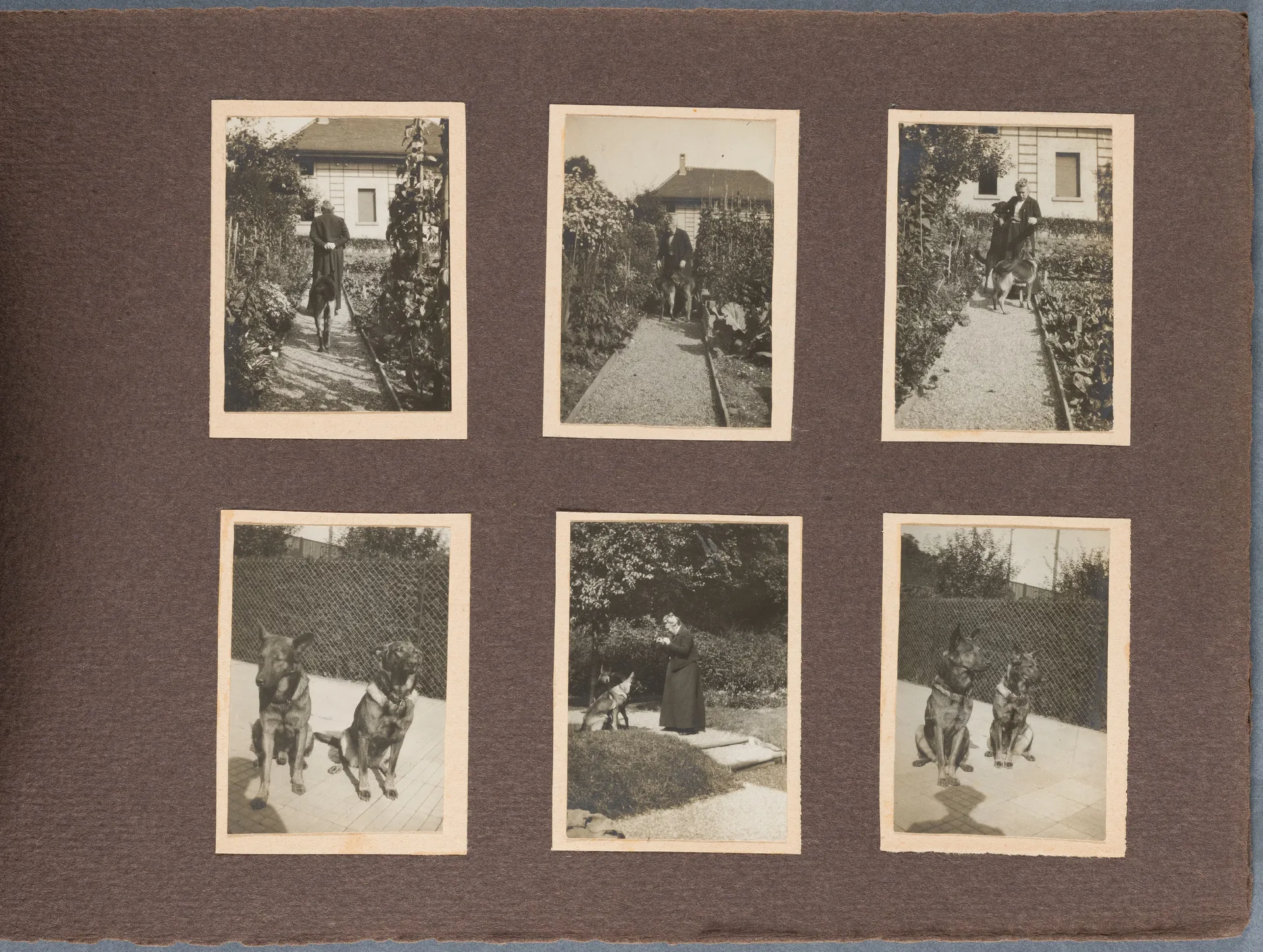 Fotoalbum: Hofheim Sommer 1913, Seite 8