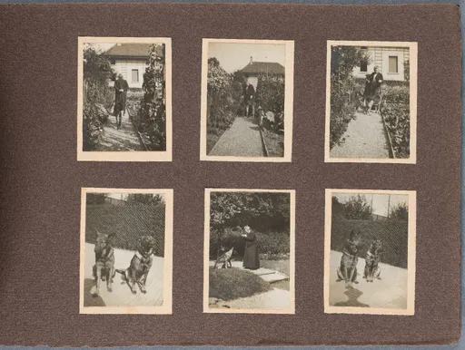 Fotoalbum: Hofheim Sommer 1913, Seite 8