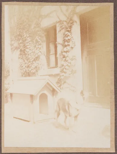 Der Hund von Ottilie W. Roederstein und Elisabeth H. Winterhalter vor deren Haus, Hofheim am Taunus