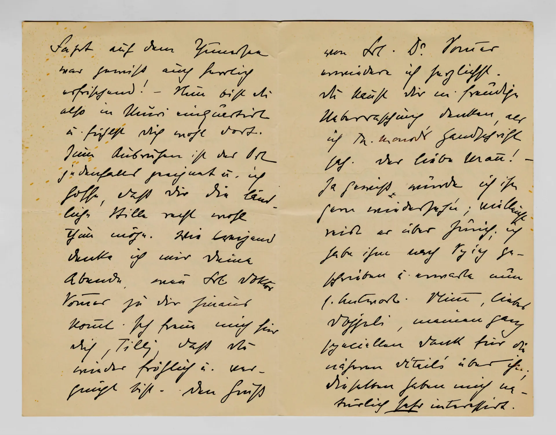 Brief von Anny Stebler-Hopf an Ottilie W. Roederstein, 20. Juli 1903