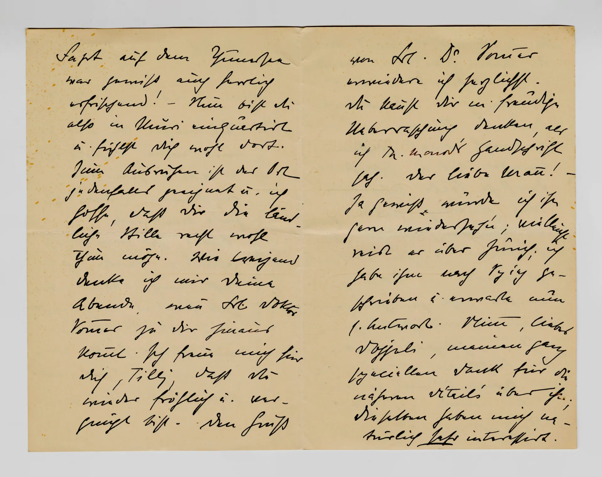 Brief von Anny Stebler-Hopf an Ottilie W. Roederstein, 20. Juli 1903