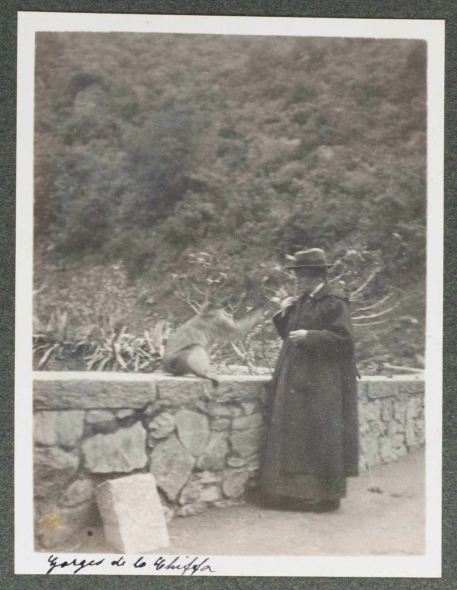 Ottilie W. Roederstein beim Affenfüttern in den Gorges de la Chiffa